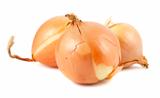 Three fresh golden onions