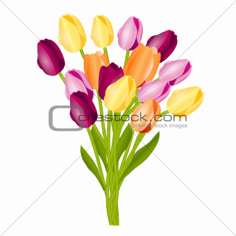 Floral background with tulips. Vector illustration.