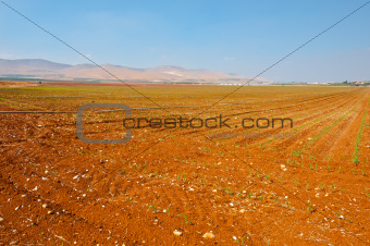  Irrigation in Israel