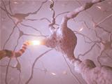 Neuron Concept