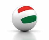 Hungarian Volleyball Team
