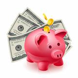 Moneybox - pig and dollars