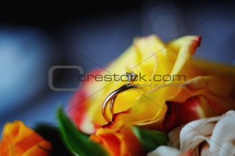 wedding rings in a roses