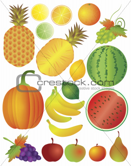 Fruits Set Illustration