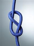 Figure of eight knot