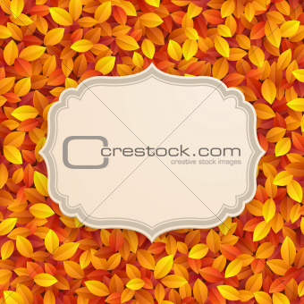 Vintage card on autumn leaves texture.