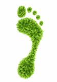 Green leaves footprint