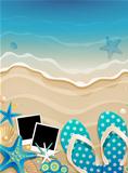 Summer background with shells