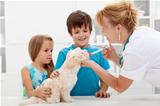 Kids with their pet at the veterinary doctor