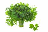 bunch of flat leaf parsley isolated on a white background