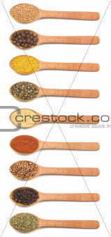 Collection of spices in wooden spoons