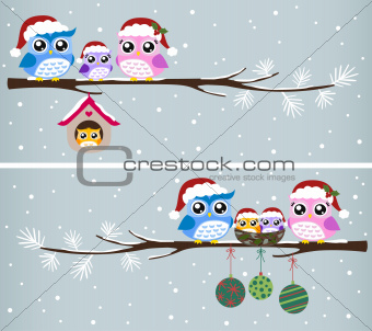 Owl christmas celebration design vector