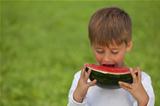 Little boy eating a watermelon