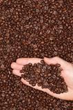 Coffee beans on a human hand