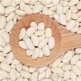 White beans on a wooden spoon