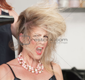 Woman's Hair and Blow Dryer