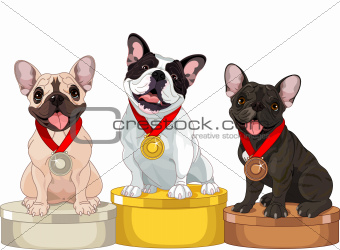 Winners of Dog competition 