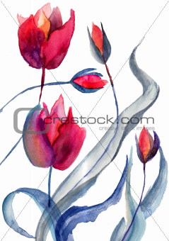 Original Tulips flowers