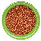 red quinoa grain