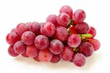 Grape fruits
