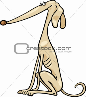 greyhound dog cartoon illustration