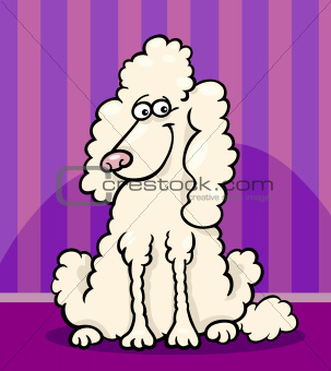 poodle dog cartoon illustration