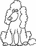 poodle dog cartoon for coloring book