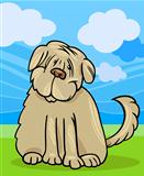 shaggy terrier dog cartoon illustration