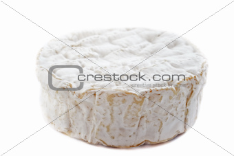 camember cheese