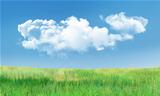 Cumulus Clouds and Grass Landscape