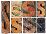 letter S in wood type blocks