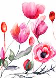 Colorful flowers, watercolor illustration 