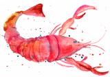 Watercolor illustration of lobster