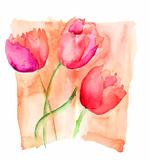 Colorful illustration of red tulips flowers 