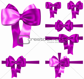 Violet gift ribbon set