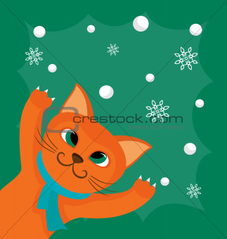 Red cat and snowballs