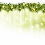 Border of fir twigs with golden stars in soft light green background