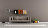 minimalist brown livingroom