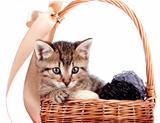 Striped kitten in a basket with woolen balls