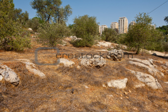 View to Jerusalem