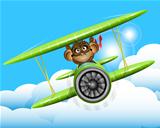 monkey on a plane