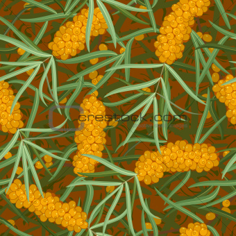 seamless orange  sea-buckthorn with leafs, twig background