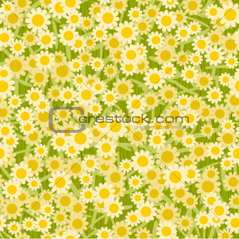 yellow white flowers seamless background pattern