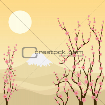 Sakura tree.