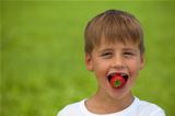 Little boy eats a strawberry