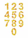 Autumn orange and yellow leaves numbers. Vector illustration.