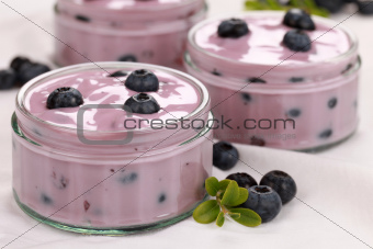 Yogurt with blueberries served in glass bowls