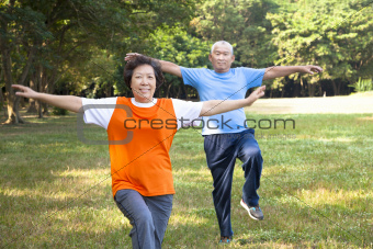 happy asian senior couple in the park