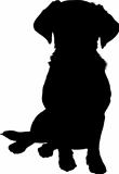 Mixed Breed Puppy Silhouette