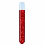Blood cell test tube vector